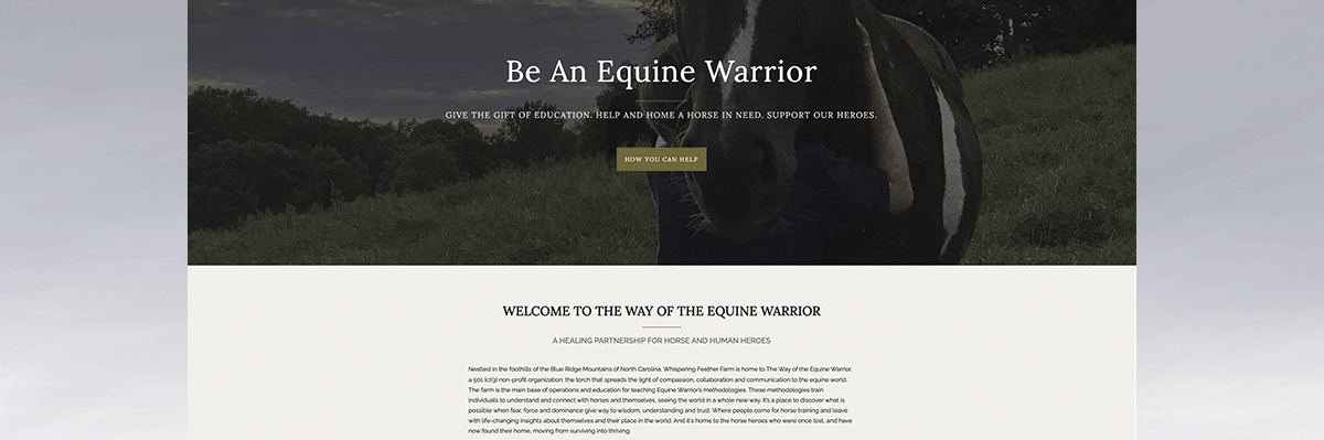 Way of the Equine Warrior