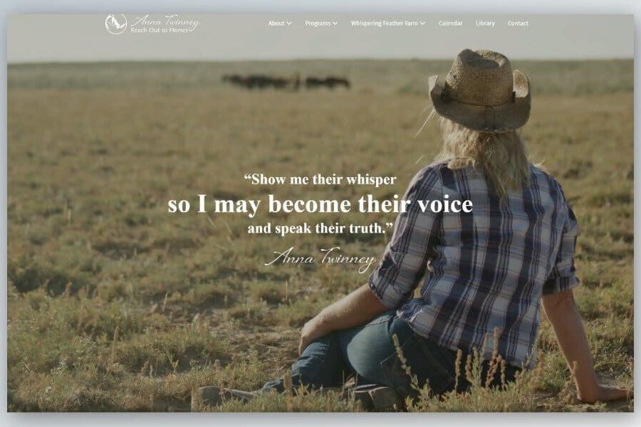 Reach Out to Horses with Anna Twinney